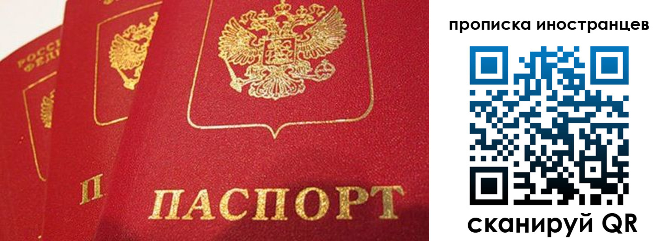 прописка поиск в Судогде